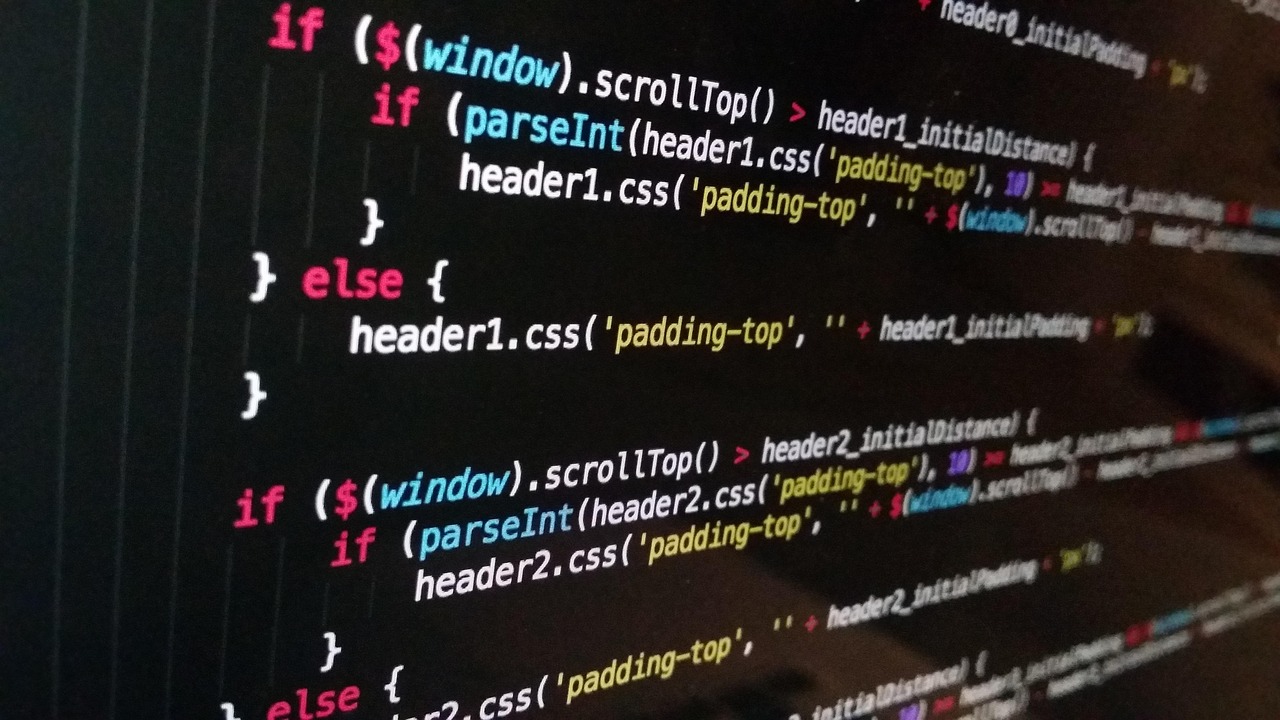 Custom software development project South Africa