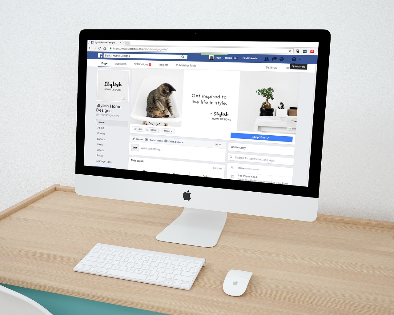 Professional business website design South Africa